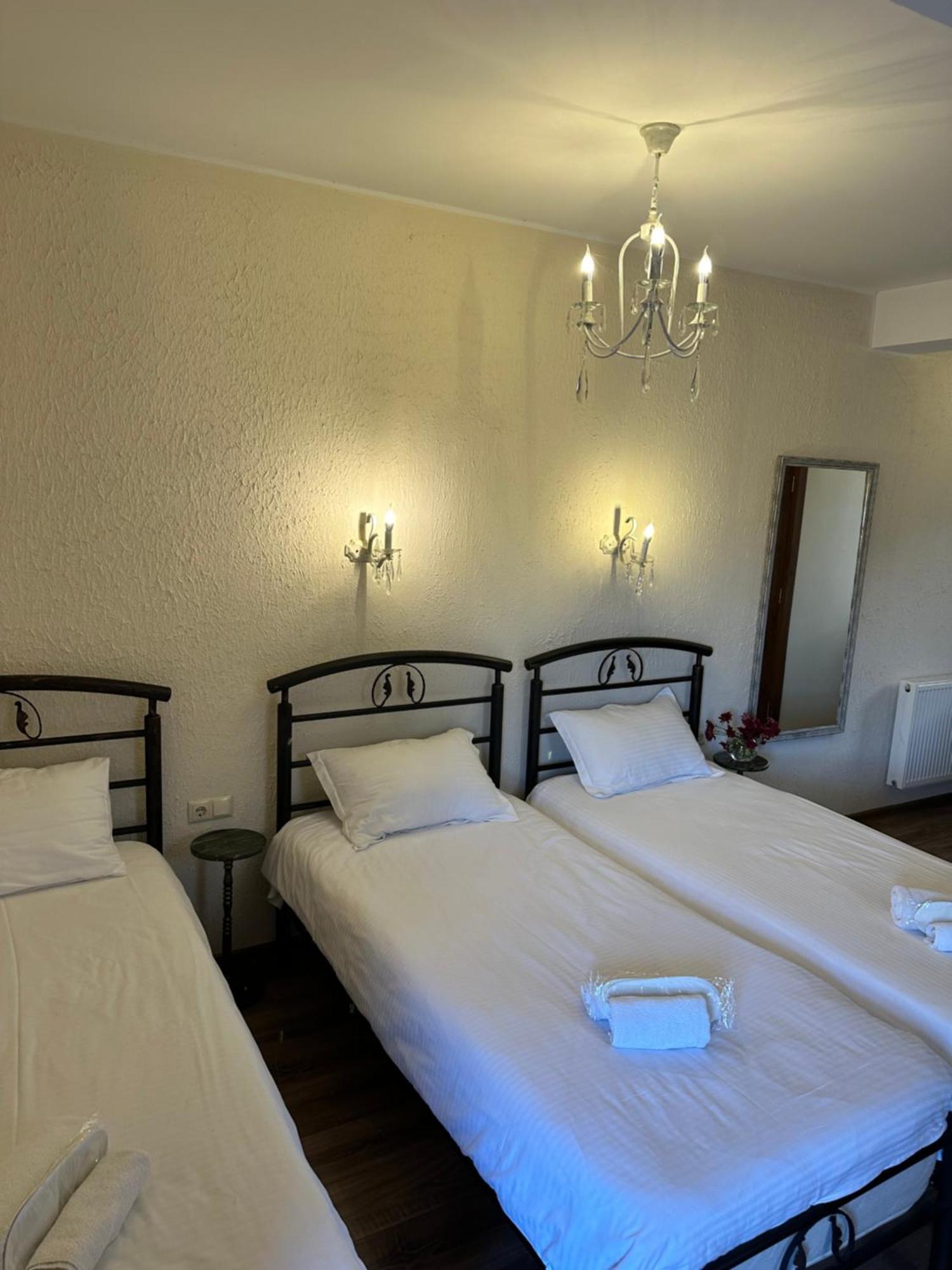 Hotel Wine Hills Tbilisi